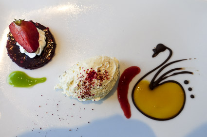 Swan decoration on dessert plate, EMERALD STAR