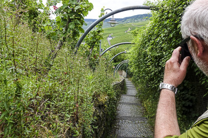 Path to Landshut Castle, Bernkastel-Kues