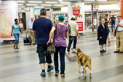 Hauptbahnhof, Nuremberg