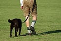 Munich photo of man and dog