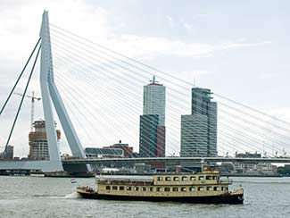 Nehalennia and Erasmus Bridge