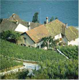 Bielersee, Lake Biel, Lake Bienne