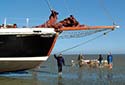 Cargo sailboat FRANZIUS under sail