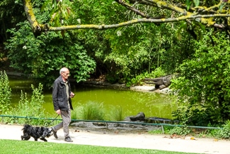 Dog-walker in Parc Montsouris, Paris