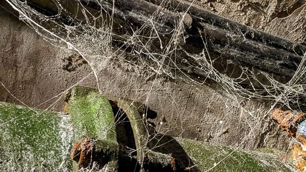 Cobwebs in Paris Sewers Museum.