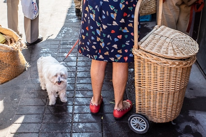 Shopping cart in Beauvais, France public market