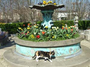 Floral display, Le Cimetire des chiens d'Asnires-sur-Seine.