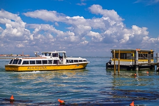 ACTV Bacini stop with Alilaguna Blue Line water bus