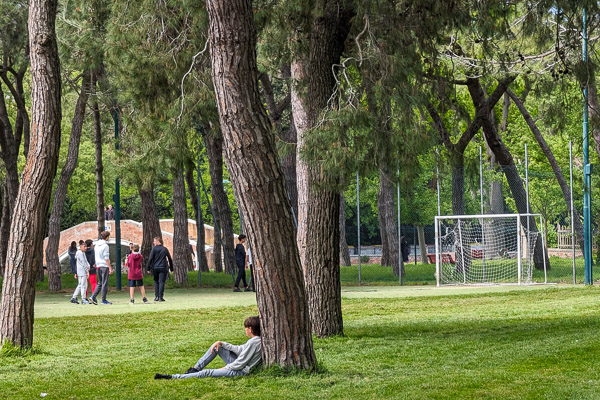 Parco delle Rimanbranze, Giardini Pubblici, Venice.