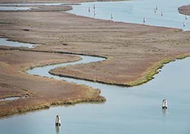 Venice lagoon